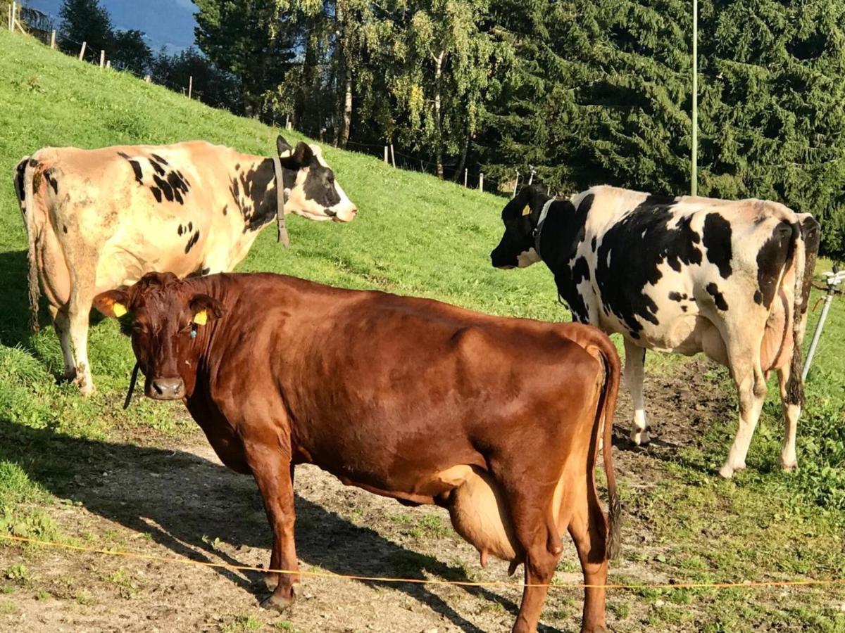 Ferienwohnung Pitznerhof Meransen Exterior foto